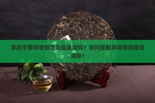 李进平薄荷塘普洱茶品质如何？如何鉴别真假薄荷塘普洱茶？