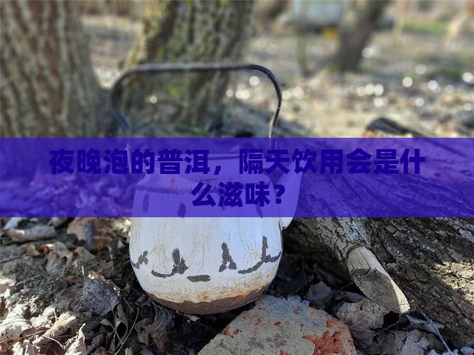 夜晚泡的普洱，隔天饮用会是什么滋味？