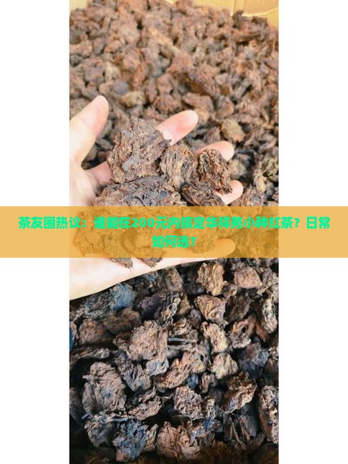 茶友圈热议：谁能在200元内搞定华祥苑小种红茶？日常如何选？