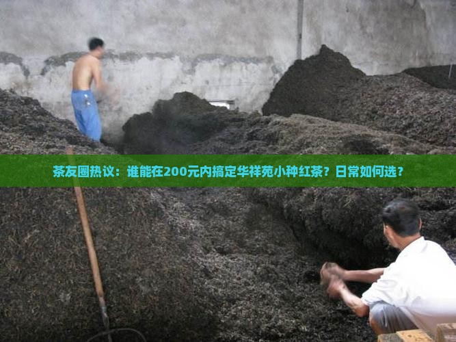 茶友圈热议：谁能在200元内搞定华祥苑小种红茶？日常如何选？
