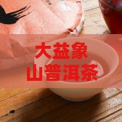 大益象山普洱茶饼价格口感体验怎么样