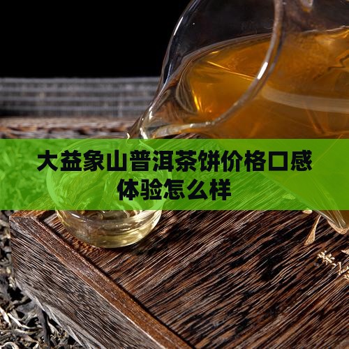 大益象山普洱茶饼价格口感体验怎么样