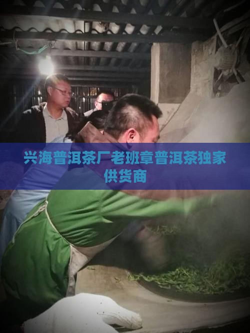 兴海普洱茶厂老班章普洱茶独家供货商