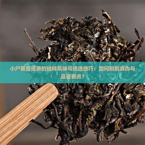 小户寨普洱茶的独特风味与挑选技巧：如何辨别真伪与品鉴要点？