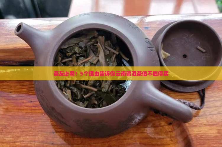 茶友必看！5个理由告诉你云南普洱茶值不值得买