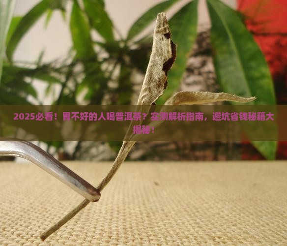 胃不好的人敢喝普洱茶吗
