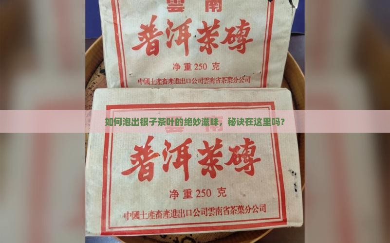 如何泡出银子茶叶的绝妙滋味，秘诀在这里吗？