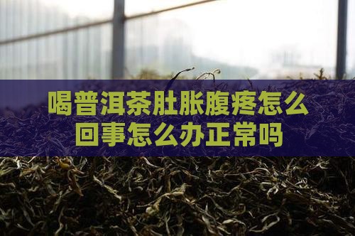 喝普洱茶肚胀腹疼怎么回事怎么办正常吗
