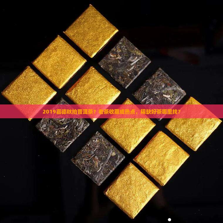 2019嘉德秋拍普洱茶？老茶收藏成热点，稀缺好茶哪里找？