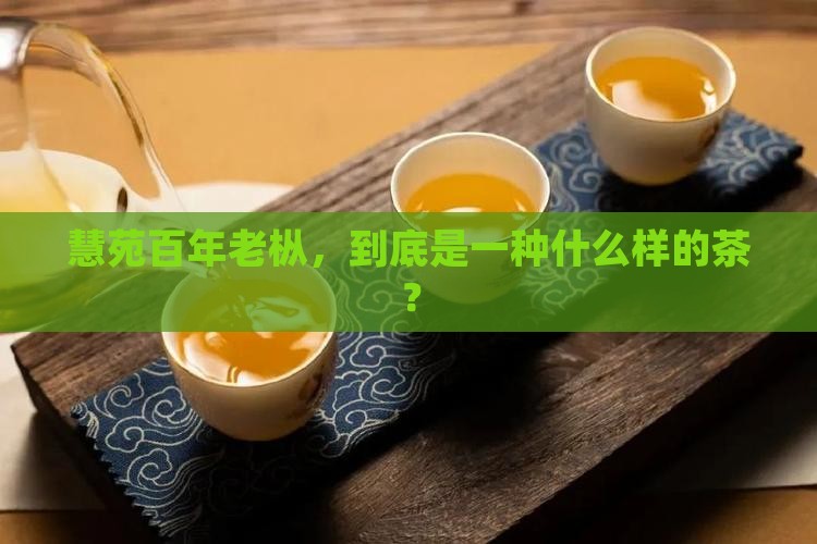 慧苑百年老枞，到底是一种什么样的茶？