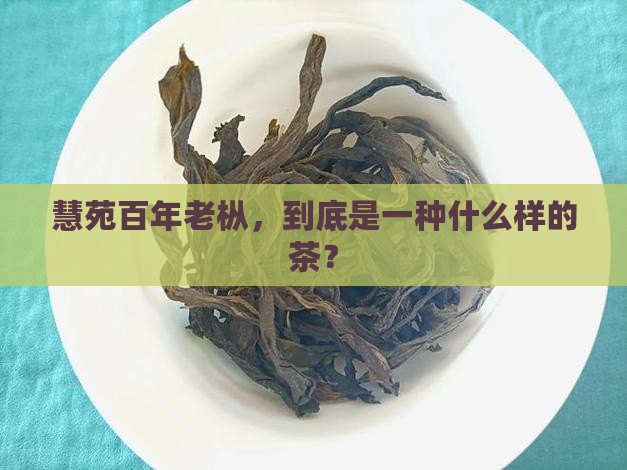 慧苑百年老枞，到底是一种什么样的茶？
