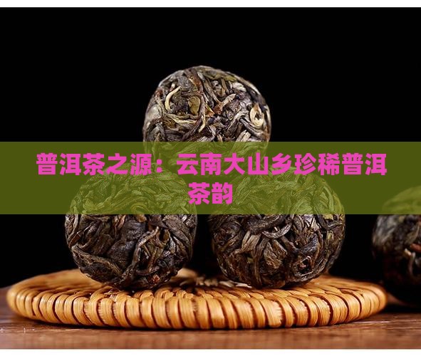 普洱茶之源：云南大山乡珍稀普洱茶韵