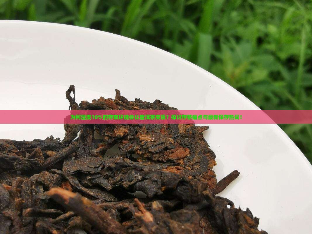 为何湿度10%的存放环境会让普洱茶变质？探讨存茶痛点与最新保存热词！