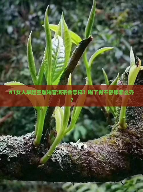 #1女人早起空腹喝普洱茶会怎样?喝了胃不舒服怎么办? #1女人早起空腹喝普洱茶会怎样?喝了胃不舒服怎么办?