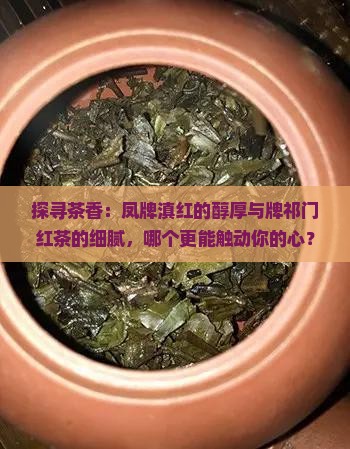 探寻茶香：凤牌滇红的醇厚与牌祁门红茶的细腻，哪个更能触动你的心？