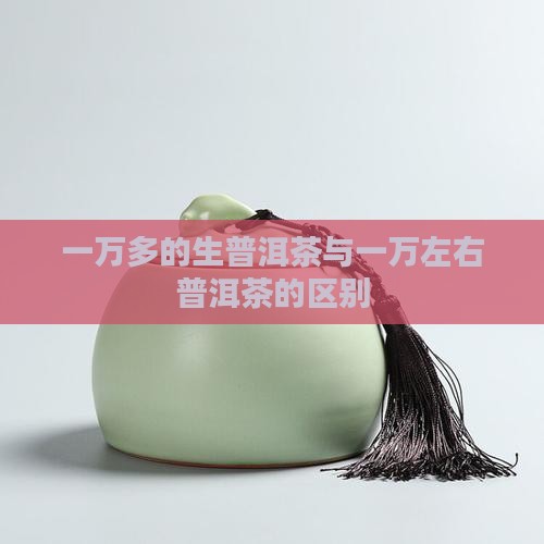 一万多的生普洱茶与一万左右普洱茶的区别