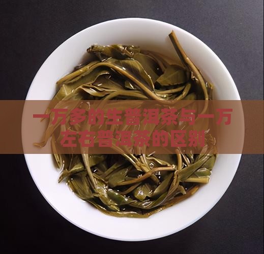 一万多的生普洱茶与一万左右普洱茶的区别