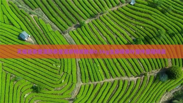 天福茗茶普洱熟茶普洱茶特级散茶0.5kg生茶砖茶叶整件整箱特卖