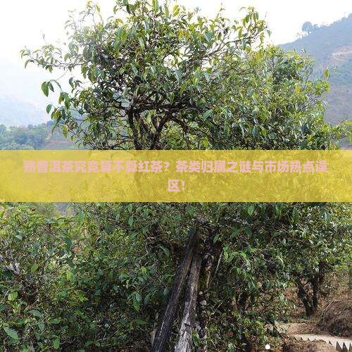 熟普洱茶究竟算不算红茶？茶类归属之谜与市场热点误区！