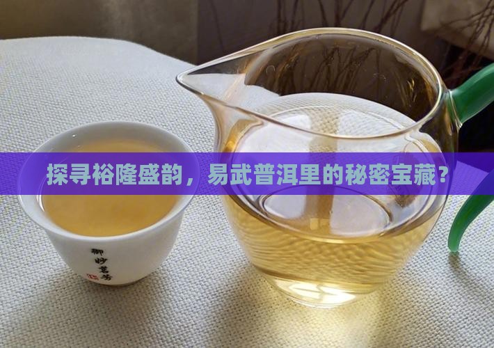 探寻裕隆盛韵，易武普洱里的秘密宝藏？