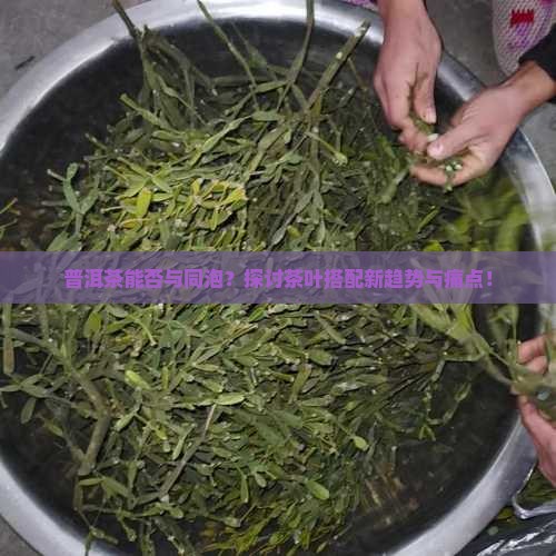 普洱茶能否与同泡？探讨茶叶搭配新趋势与痛点！