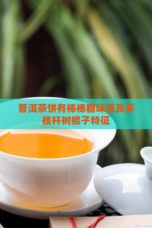 普洱茶饼有棒棒糖味道及多枝杆树棍子特征