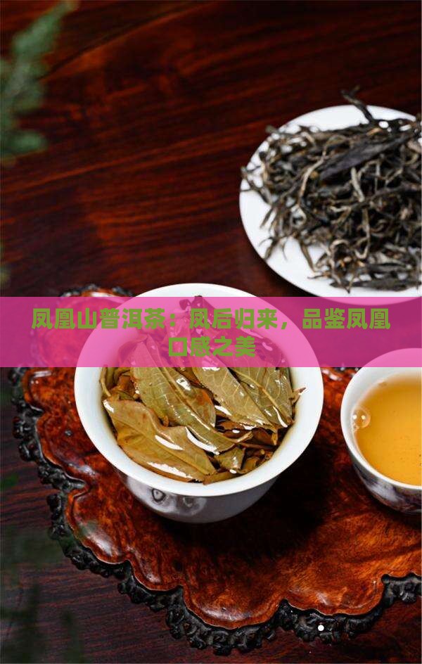 凤凰山普洱茶：凤后归来，品鉴凤凰口感之美
