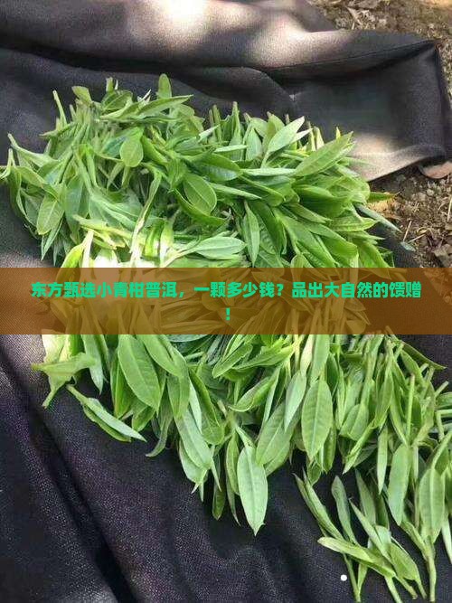 东方甄选小青柑普洱，一颗多少钱？品出大自然的馈赠！