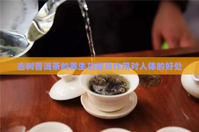 古树普洱茶的养生功能及作用对人体的好处