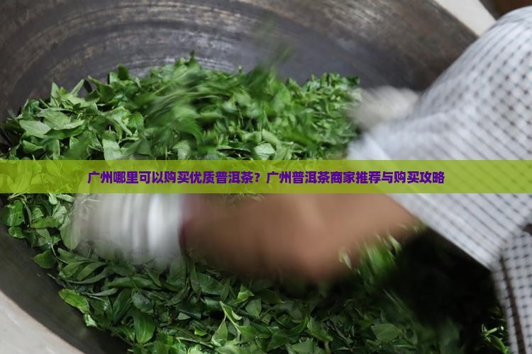 广州哪里可以购买优质普洱茶？广州普洱茶商家推荐与购买攻略