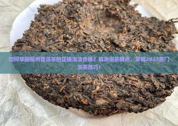 如何掌握福州普洱茶的正确泡法步骤？解决泡茶痛点，掌握2023热门泡茶技巧！