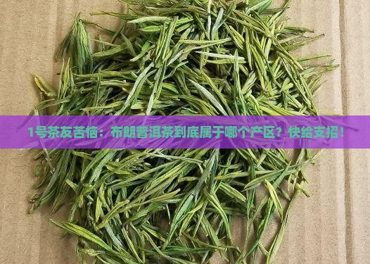 1号茶友苦恼：布朗普洱茶到底属于哪个产区？快给支招！