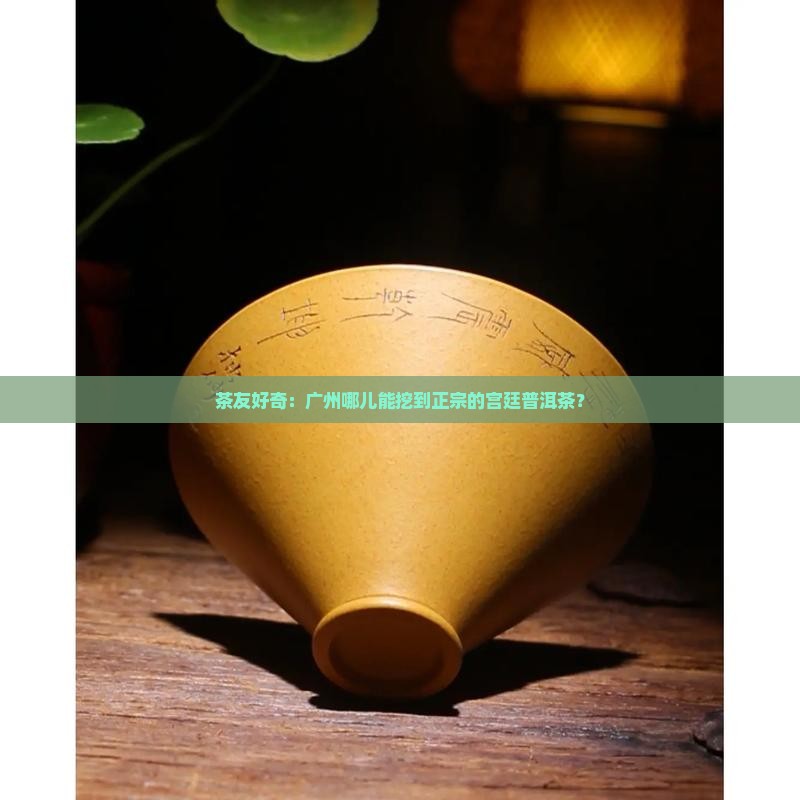 茶友好奇：广州哪儿能挖到正宗的宫廷普洱茶？