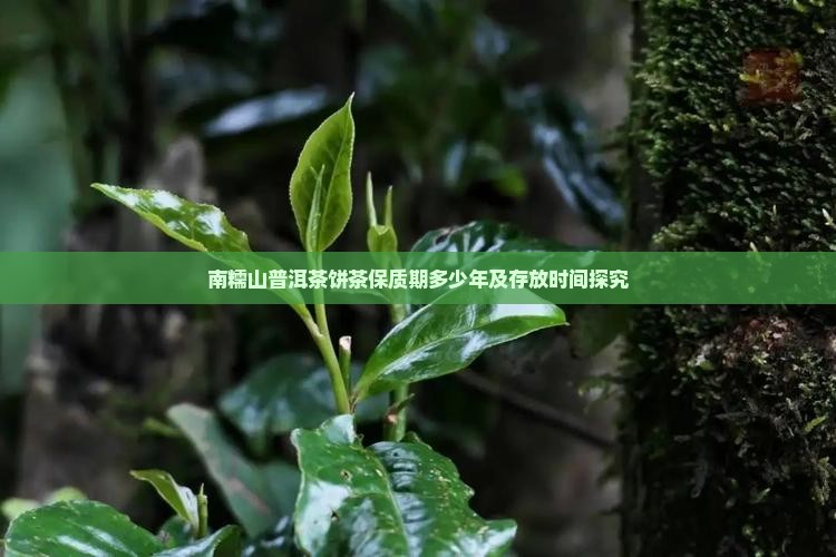 南糯山普洱茶饼茶保质期多少年及存放时间探究