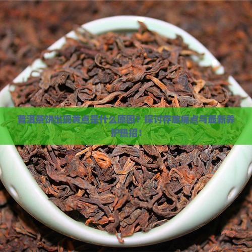 普洱茶饼出现黄点是什么原因？探讨存放痛点与最新养护热招！