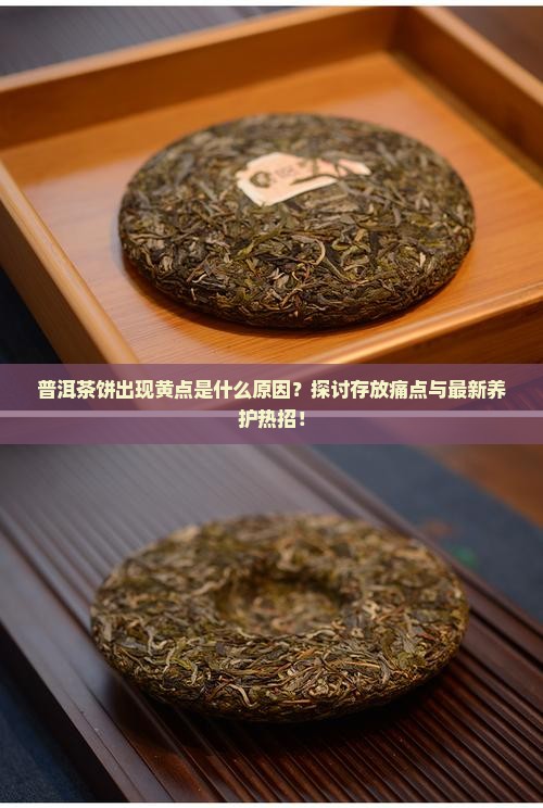 普洱茶饼出现黄点是什么原因？探讨存放痛点与最新养护热招！