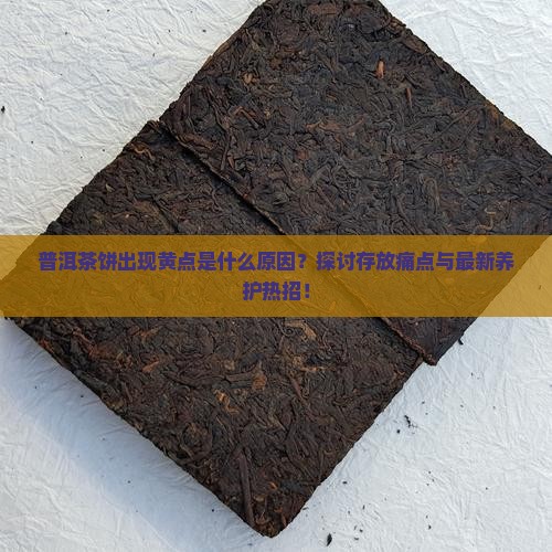 普洱茶饼出现黄点是什么原因？探讨存放痛点与最新养护热招！