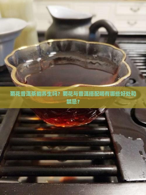 菊花普洱茶能养生吗？菊花与普洱搭配喝有哪些好处和禁忌？