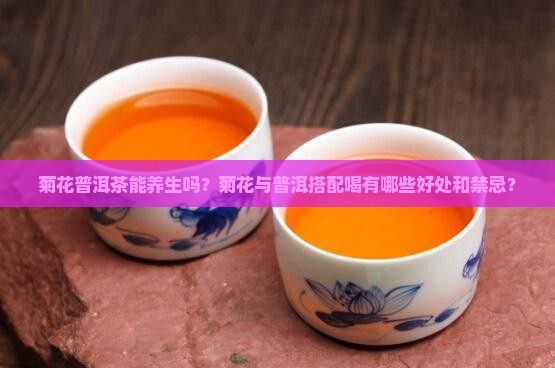 菊花普洱茶能养生吗？菊花与普洱搭配喝有哪些好处和禁忌？