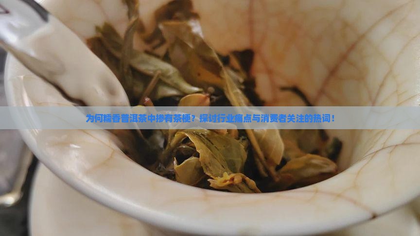 为何糯香普洱茶中掺有茶梗？探讨行业痛点与消费者关注的热词！
