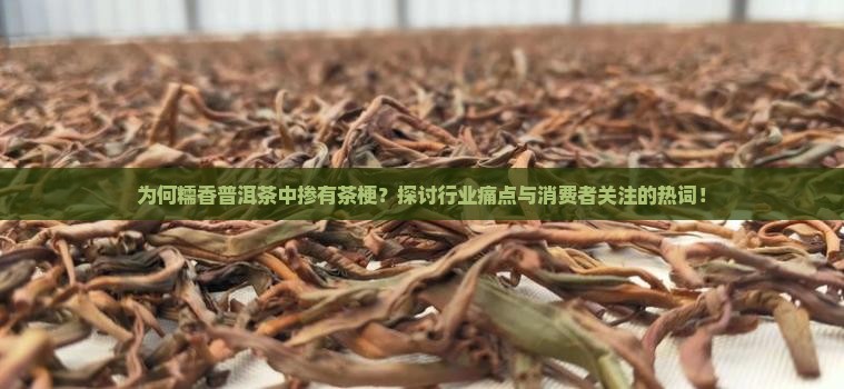 为何糯香普洱茶中掺有茶梗？探讨行业痛点与消费者关注的热词！