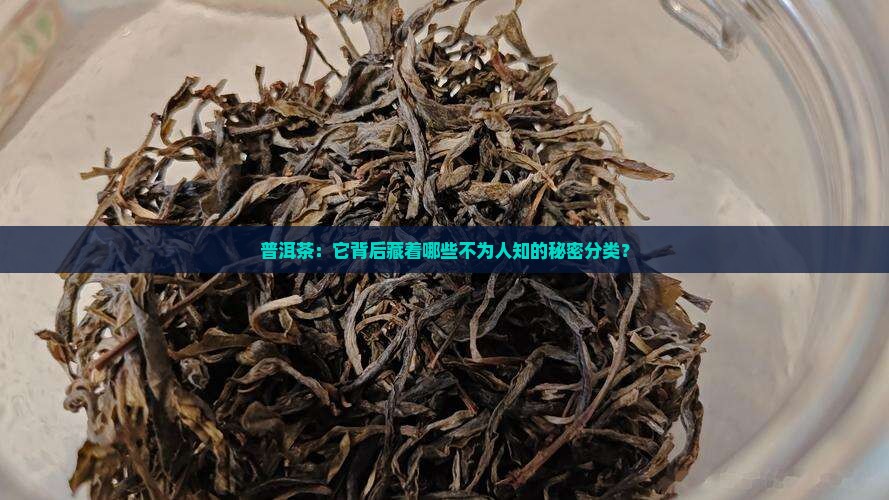 普洱茶：它背后藏着哪些不为人知的秘密分类？