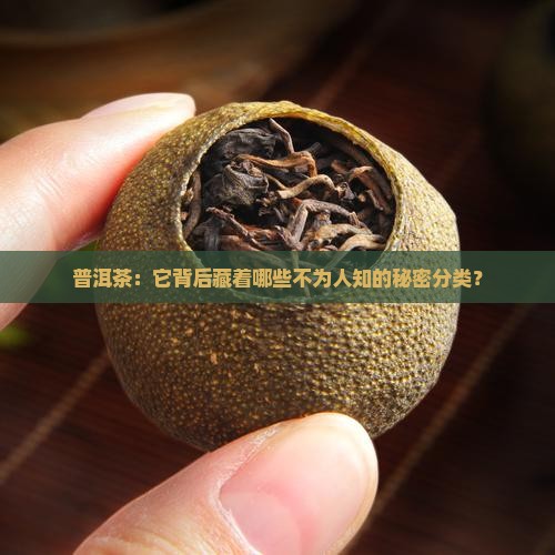 普洱茶：它背后藏着哪些不为人知的秘密分类？