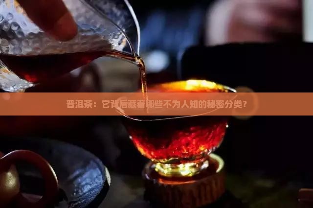 普洱茶：它背后藏着哪些不为人知的秘密分类？