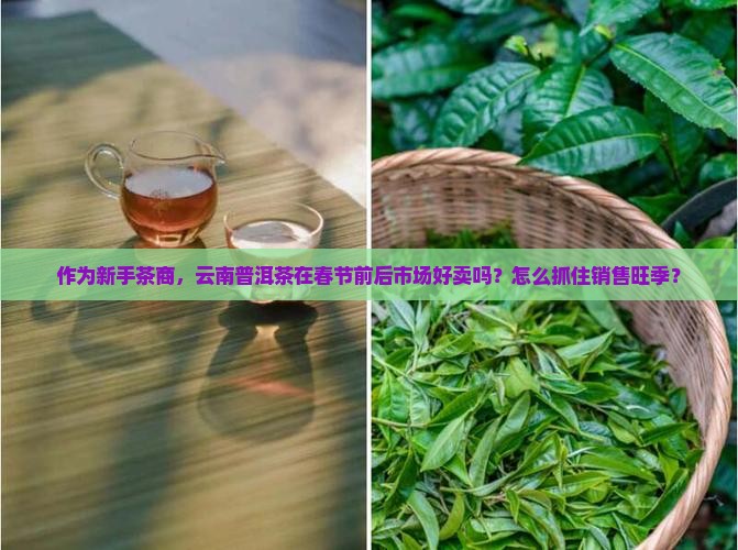 作为新手茶商，云南普洱茶在春节前后市场好卖吗？怎么抓住销售旺季？
