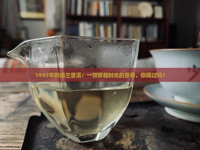1997年的德兰普洱：一饼穿越时光的茶香，你闻过吗？