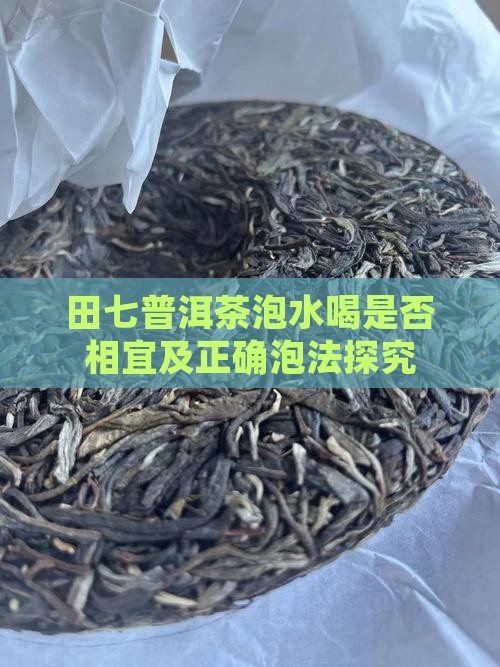 田七普洱茶泡水喝是否相宜及正确泡法探究