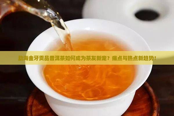 勐海金牙贡品普洱茶如何成为茶友新宠？痛点与热点新趋势！