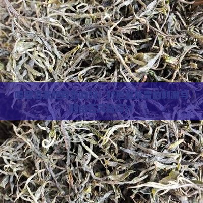 喝普洱茶胆有影响吗：对胆囊及胃的刺激与胆结石风险探讨