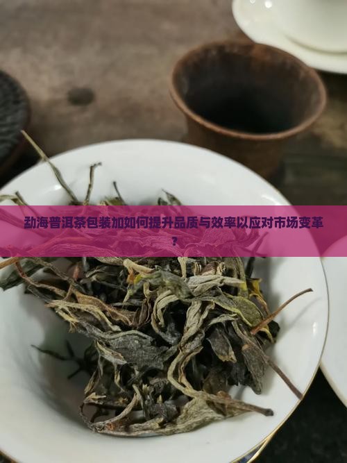 勐海普洱茶包装加如何提升品质与效率以应对市场变革？